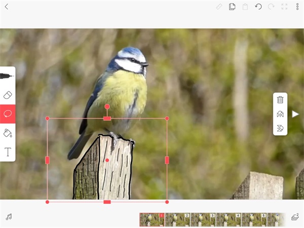 FlipaClip动画制作教程 FlipaClip动画制作教程